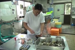 めかぶ棒ダイエットレシピ（第７回）