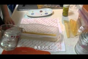 ♪ボンビーガールレシピ「うまい棒で激安パスタランチセット」100均パスタ