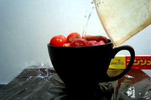 電子レンジ8分30秒でおいしいポトフ