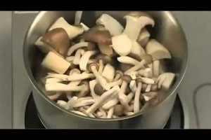 きのこたっぷりシチュー　　　　　【野菜のおかず：レシピ大百科】