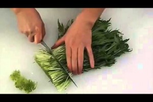 あっさり野菜鍋　【鍋：レシピ大百科】