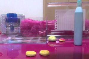 スイーツデコ☆ドーナツの作り方(*≧∀≦*)